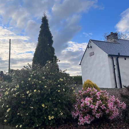 Dans Wee Cottage Slieve Croob Dromara Castlewellan Newcastle エクステリア 写真