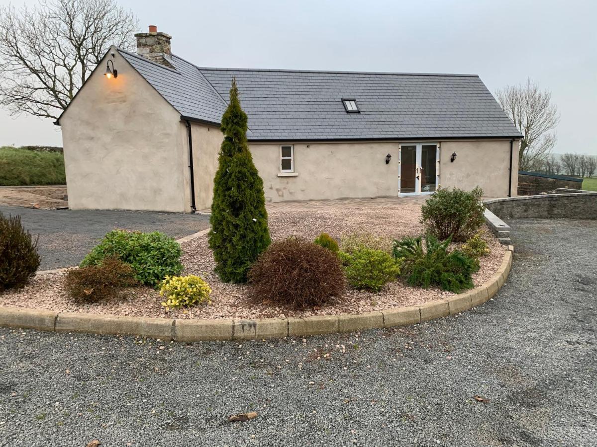 Dans Wee Cottage Slieve Croob Dromara Castlewellan Newcastle エクステリア 写真