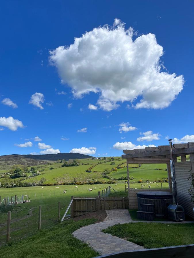 Dans Wee Cottage Slieve Croob Dromara Castlewellan Newcastle エクステリア 写真